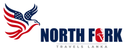 web logo
